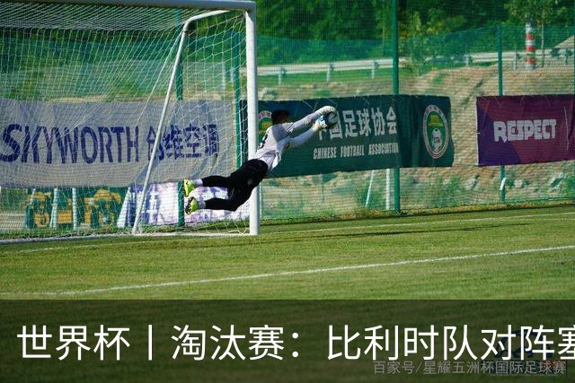 世界杯丨淘汰赛：比利时队对阵塞内加尔队