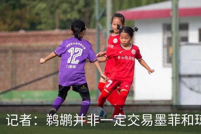 记者：鹈鹕并非一定交易墨菲&琼斯但两人吸引力太大&可换巨大回报